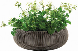 Kvetin Keter COZY L Harvest brown