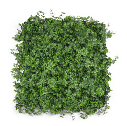 Umel zelen stena G21 Listo Berry, 50x50 cm