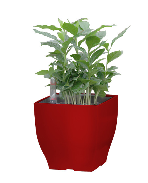 Samozavlažovací kvetináč G21 Cube mini červený 13.5 cm